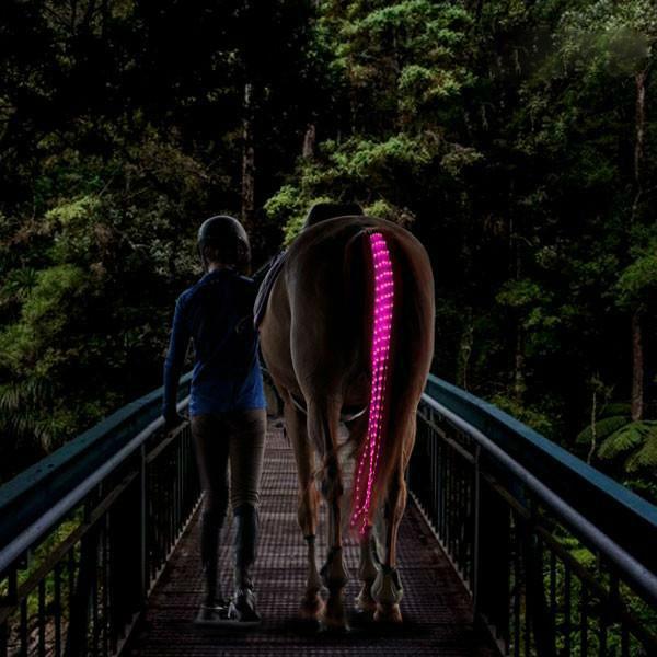 Horse Tail Lights